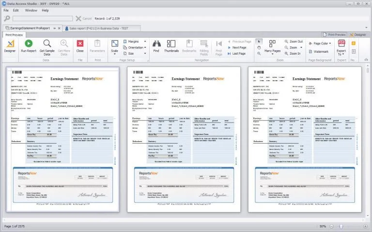 ProReports - Earnings Statement